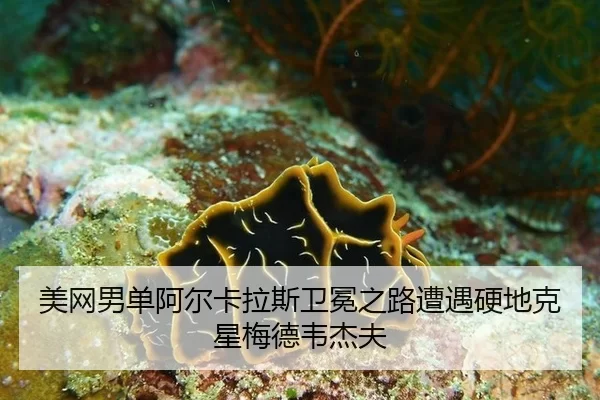 mei-wang-nan-dan-a-er-ka-la-si-wei-mian-zhi-lu-zao-yu-ying-di-ke-xing-mei-de-wei-jie-fu-2-409.jpg