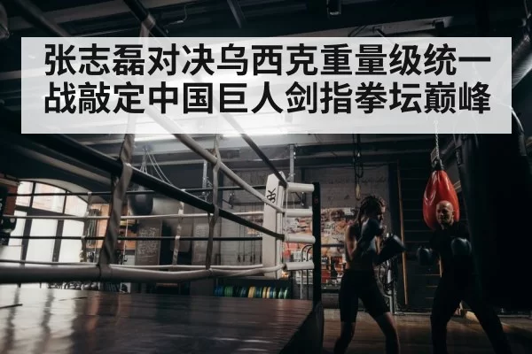 boxer training